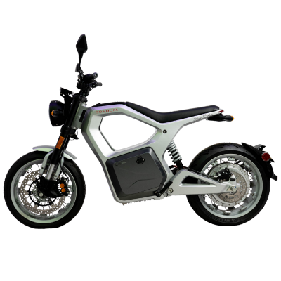 Sondors Silver