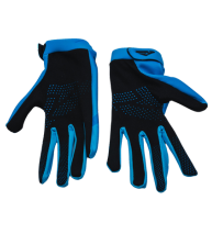 GLOVES